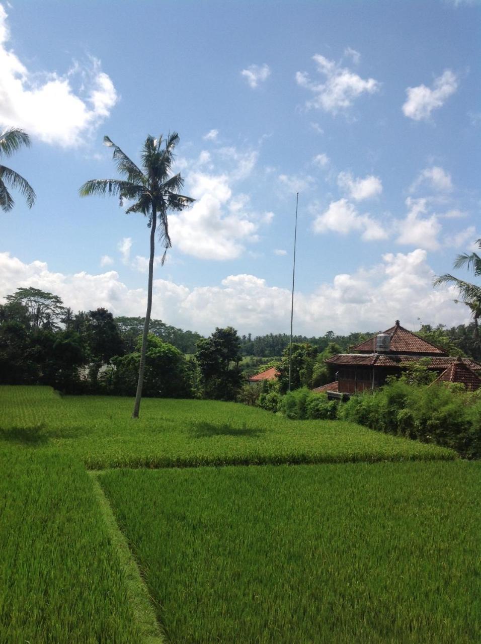 Uma Dhari Villa By Prasi Ubud Eksteriør bilde